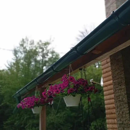 Holiday home Vikend Kuca Dokovic - Jahorina