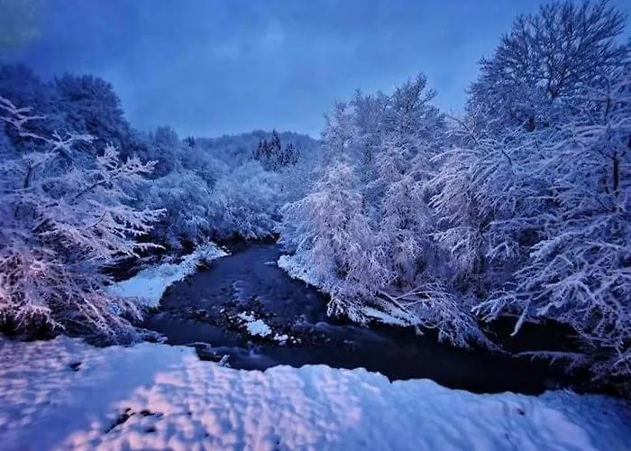 Hébergement de vacances Vikend Kuca Dokovic - Jahorina