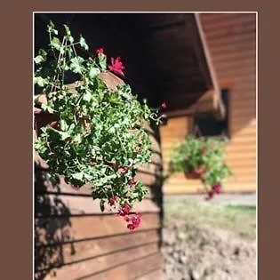 Vikend Kuca Dokovic - Jahorina